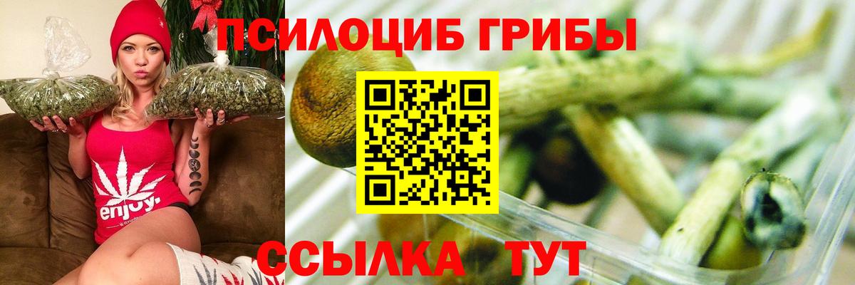 Барнаул  Псилоцибиновые грибы мухоморы  Вход с VPN 