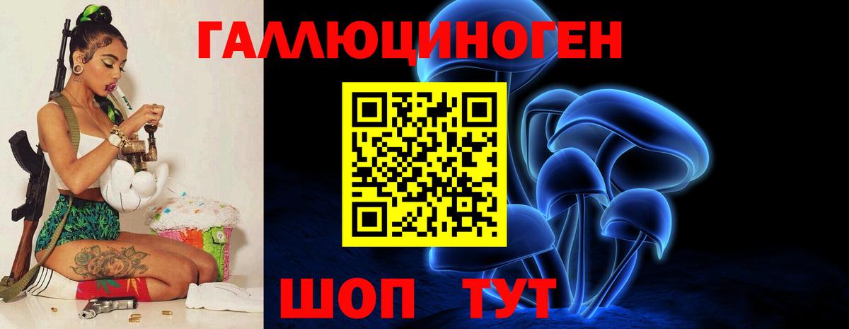 Галлюциногенные грибы Psilocybe Барнаул